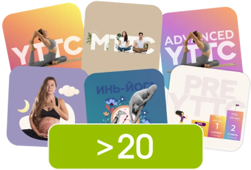 Наши преподаватели