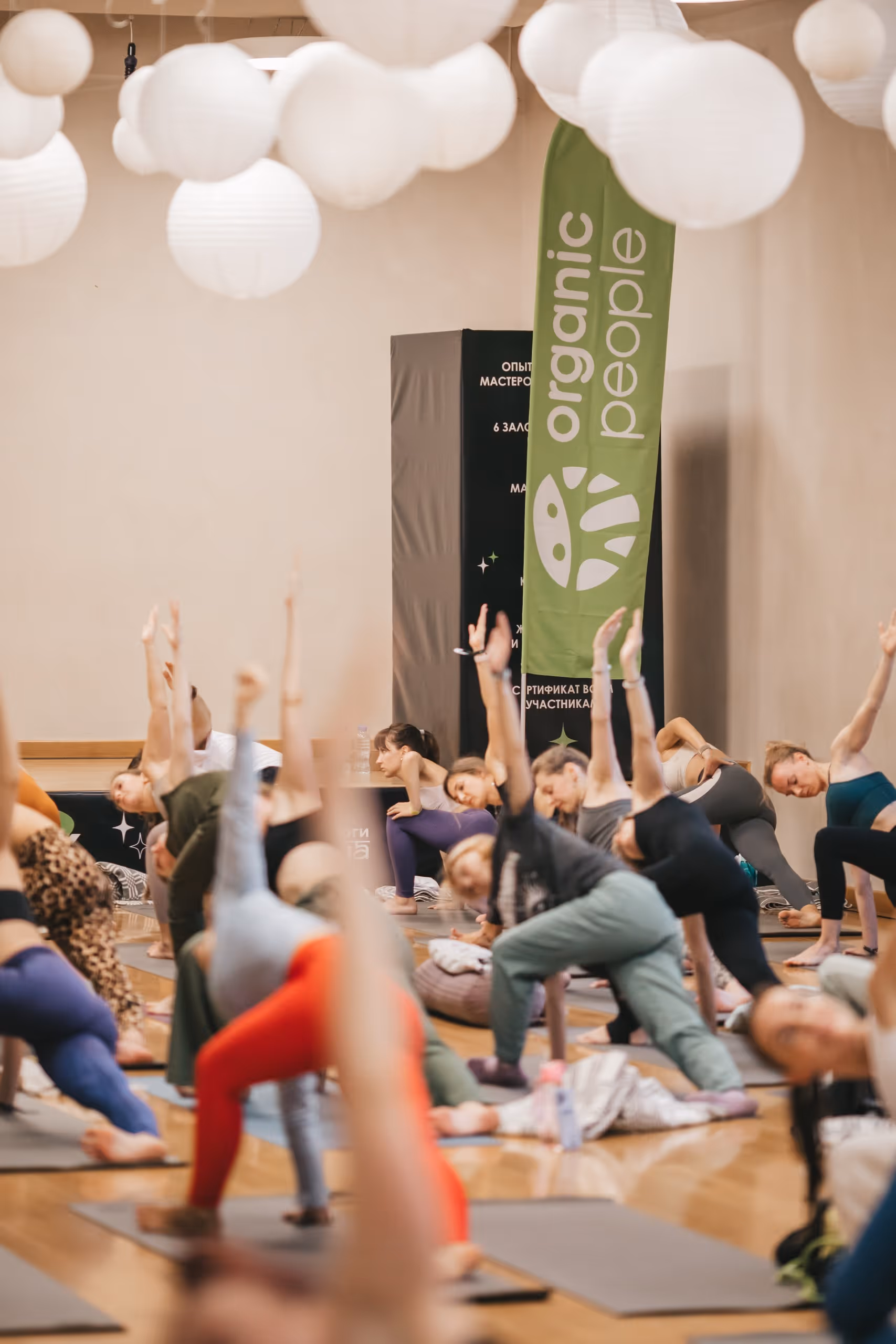 ORGANIC PEOPLE — фото конференции