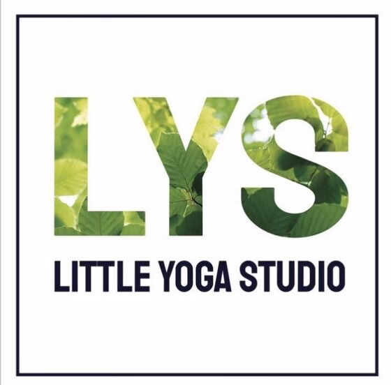 Логотип студии LYS