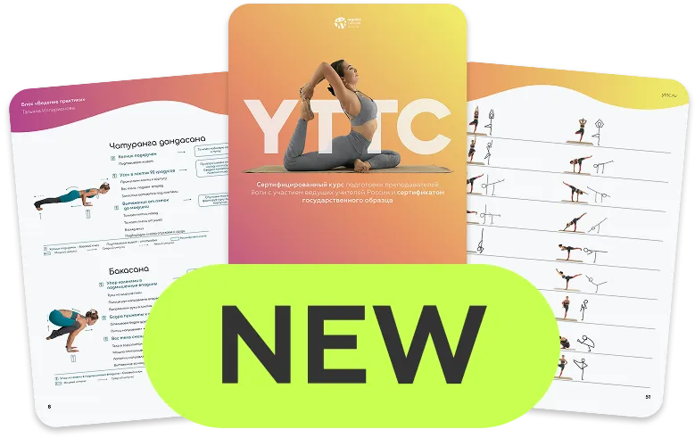 Обновленная программа