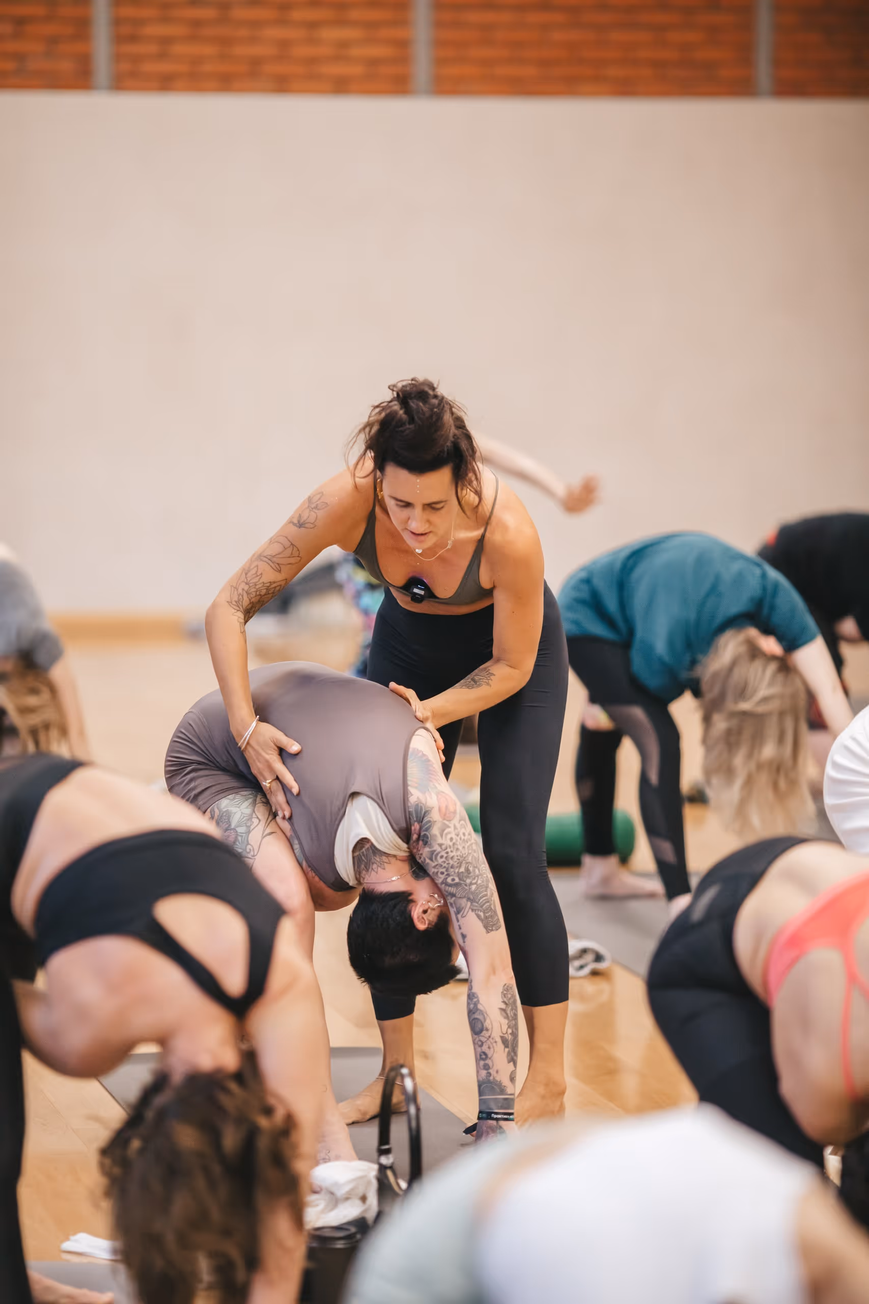 ORGANIC PEOPLE — фото конференции